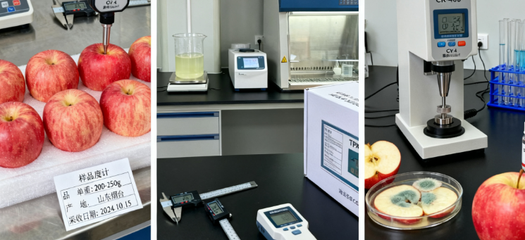 蘋(píng)果檢測(cè)